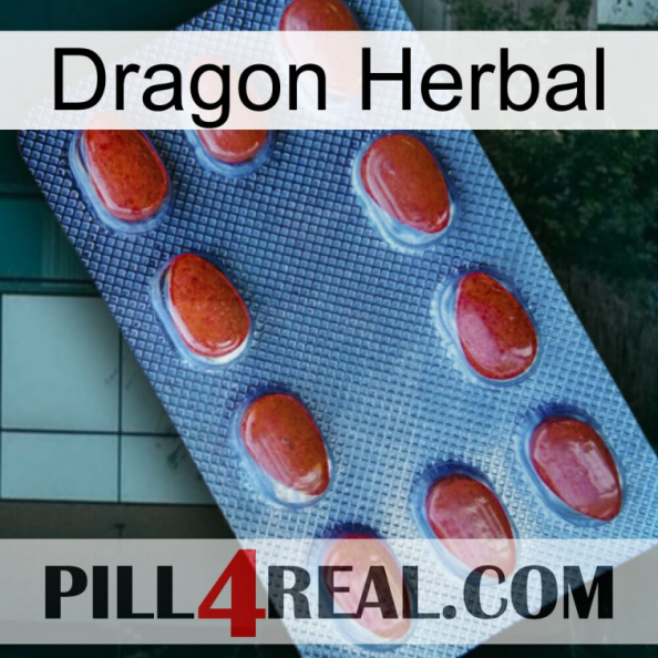 Dragon Herbal 06.jpg